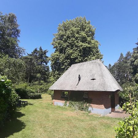 De Hooge Woeste Villa Emst Eksteriør bilde