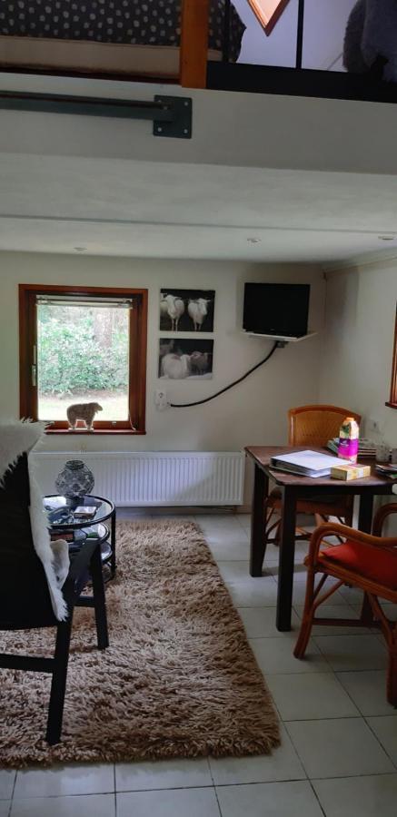 De Hooge Woeste Villa Emst Eksteriør bilde