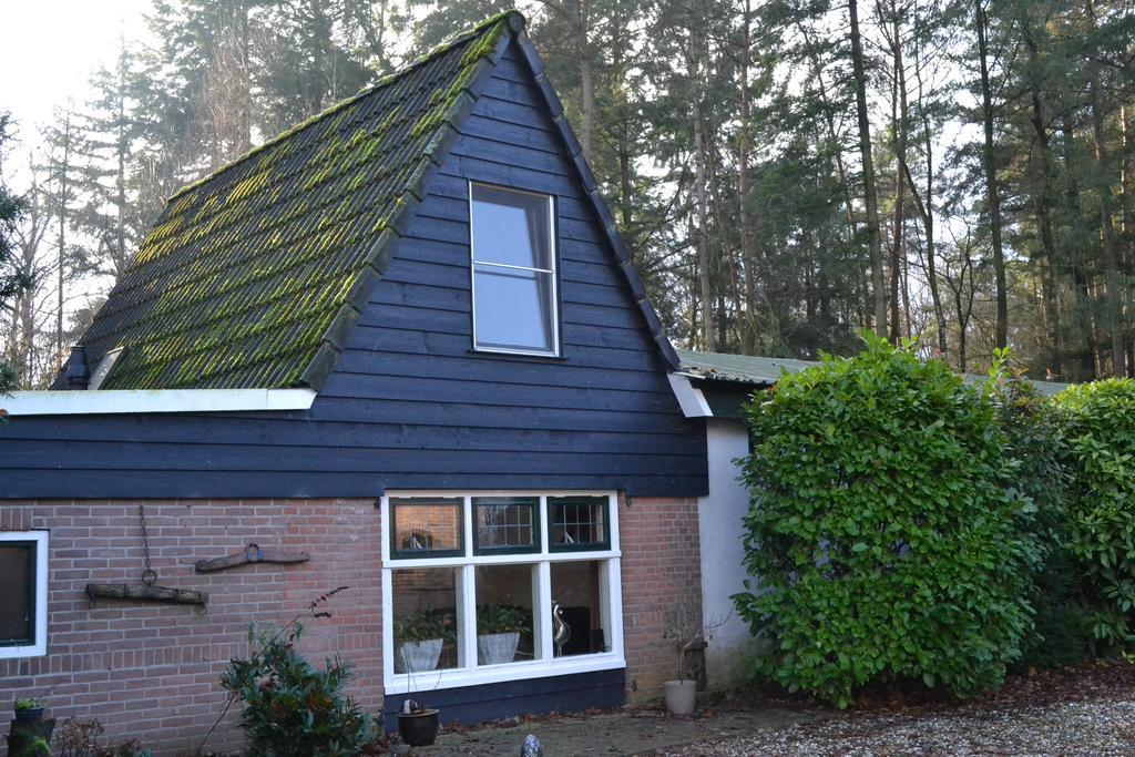 De Hooge Woeste Villa Emst Eksteriør bilde