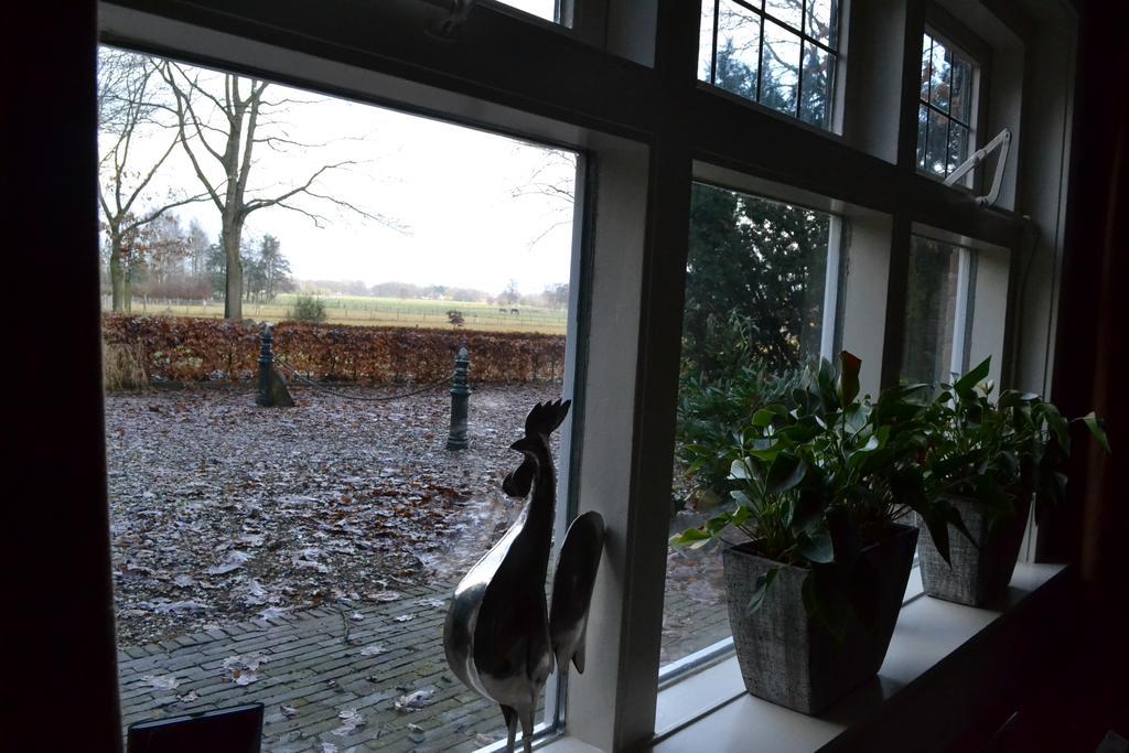 De Hooge Woeste Villa Emst Eksteriør bilde
