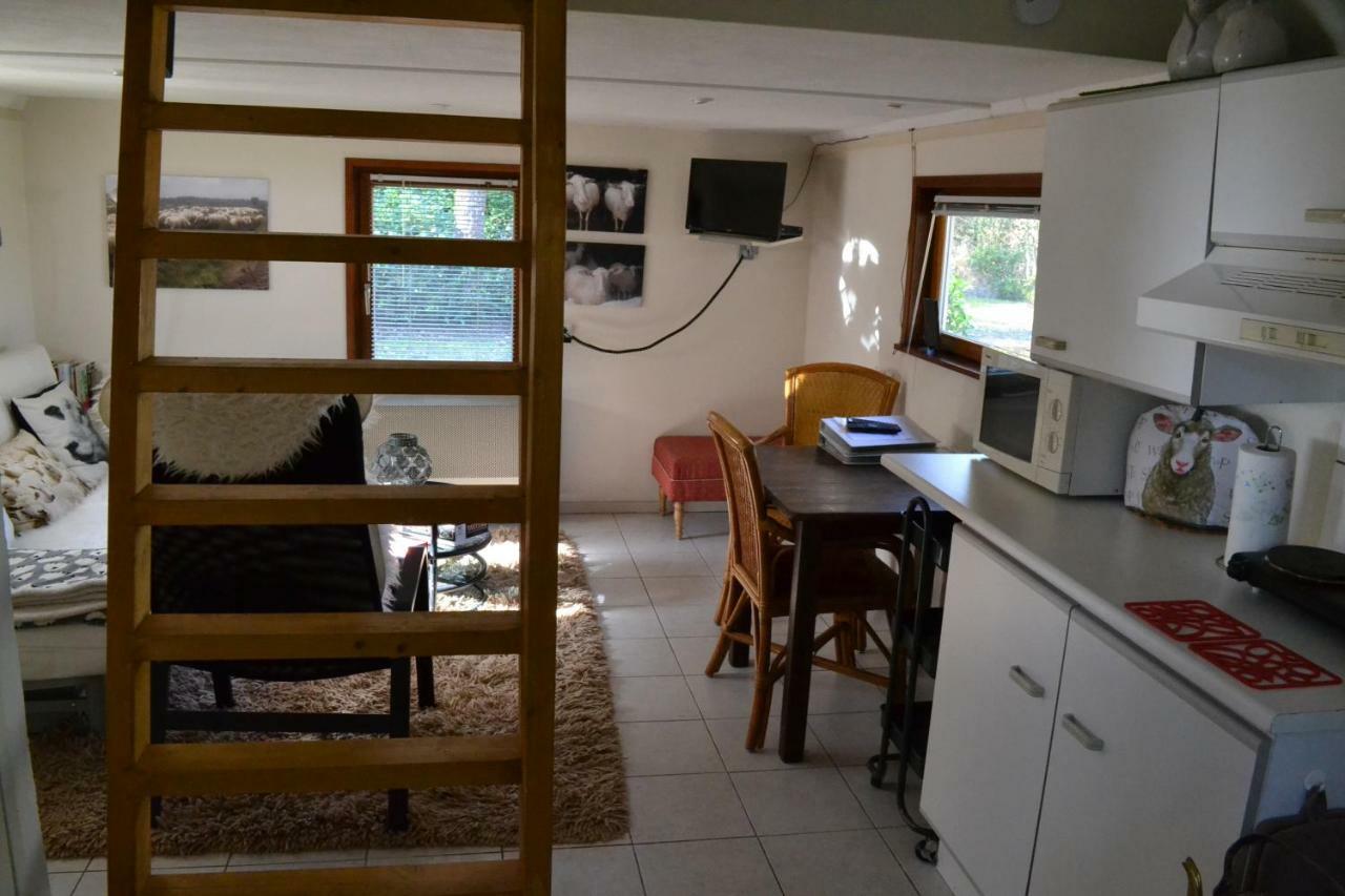 De Hooge Woeste Villa Emst Eksteriør bilde
